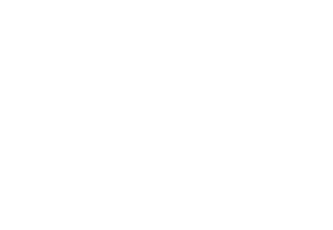 AAAIMX